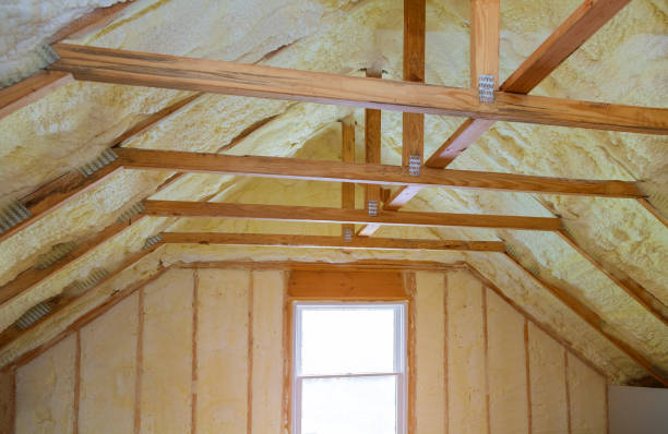 Best Insulation Repair Services  in Alvord, TX