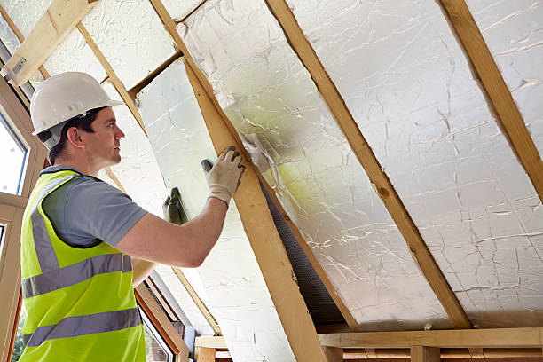 Best Local Insulation Services  in Alvord, TX